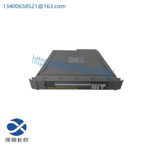 ICS Triplex T8300 Customized Control Module