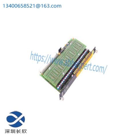 B&R Analog Output Module PA81