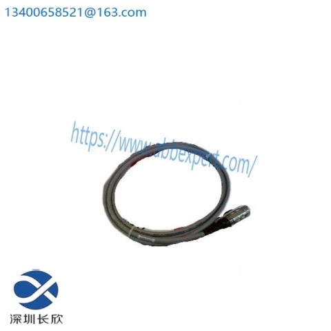 PASAN 200035 Industrial Photometric Monitor