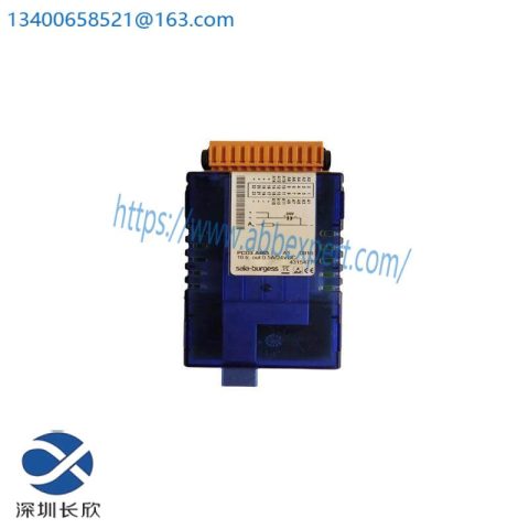 Saia Burgess PCD3.A465 Digital Output Module - Control and Automation Solutions
