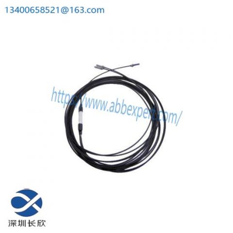 Busak+Shamban PT301100-T46N Control Module for Industrial Automation