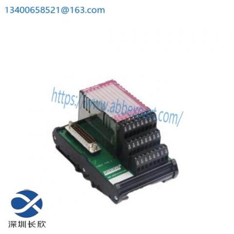Foxboro P0916AA I/A Series Control Module