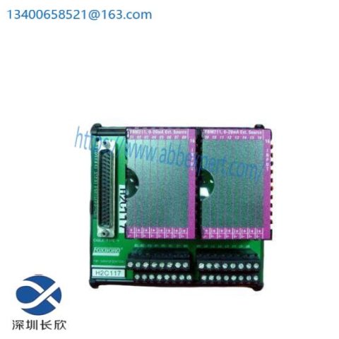 Foxboro P0916BT - I/A Series Control Module