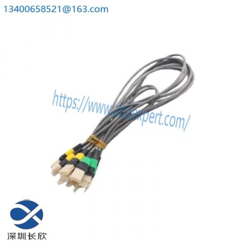 Honeywell 51202659-202 Industrial I/O Link Cable Pair, Advanced Connectivity Solutions