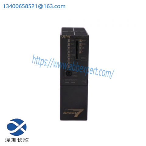 MKS D200 DENQF1 BDG Control Module