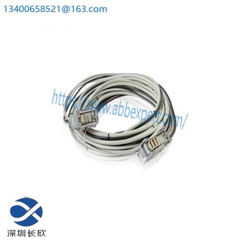 ABB IRB 2400, Model Specific Modules, Control Systems