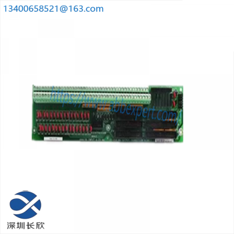 GE DS200TCQAG1ADC: Analog Input Module for Advanced Control Systems