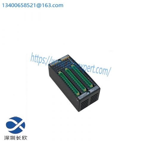 BACHMANN DI0232 - High-Performance Digital Input/Output Module